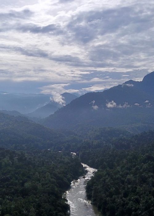 LSL_B2_Main-landing-page_800x10002