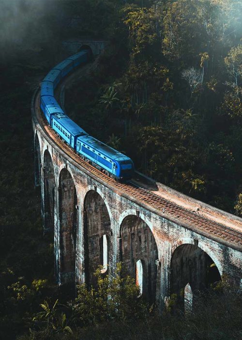 LS_Ella_Main_Mob_800x1000